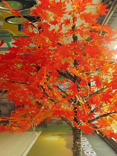 Árbol Pino Otoño Hoja Maple 540 Hojas Tronco Madera 2 Metros