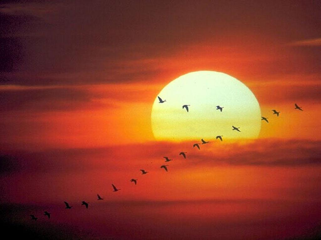 ENERGÍA SOLAR DESARROLLO SOSTENIBLE
