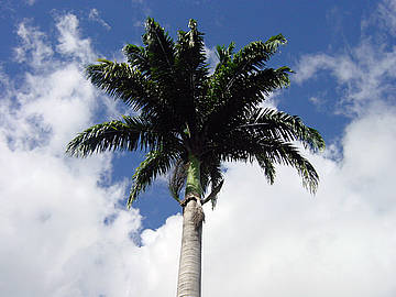 SE APROXIMA LA RE-EVOLUCIÓN DE LAS ENERGÍAS