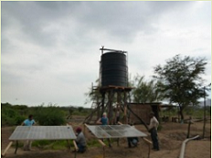 PERÚ- REFORESTAN BOSQUE DE PÓMAC UTILIZANDO EN EL PROCESO ENERGÍA SOLAR.