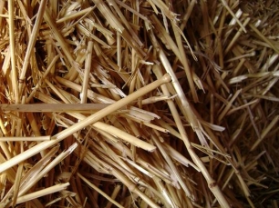 BIOPLÁSTICO FABRICADO ÍNTEGRAMENTE A PARTIR DE PAJA DE TRIGO