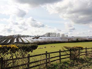 UN GRUPO DE PLANTAS FOTOVOLTAICAS EN EL REINO UNIDO CON 28,1MWP