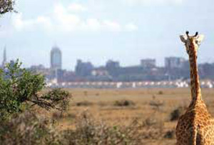 CONOCE MAS SOBRE LAS ENERGIAS EN EL MUNDO -  GAMESA SUMINISTRARÁ 13,6MW EÓLICOS EN KENIA