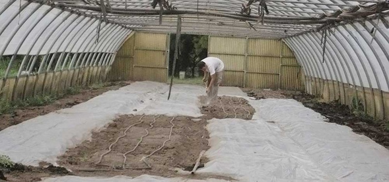LA ENERGÍA SOLAR AL SERVICIO DEL SUELO