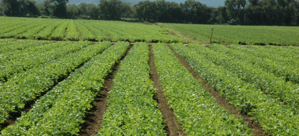 Desarrollan estudiantes vehículo solar para sembrar y reforestar