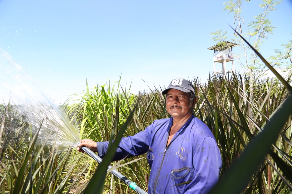 CAMPESINOS DE AIPE REVIVEN CON POZOS DE AGUA GRACIAS A LA ENERGÍA SOLAR -COLOMBIA-