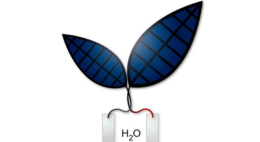 Hoja biónica 2.0: la energía solar divide el agua para producir combustible líquido