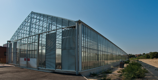 NUEVO PROCESO DE SECADO DE LODOS MEDIANTE ENERGÍA SOLAR