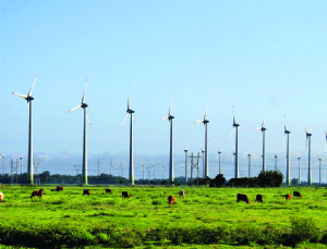 ARGENTINA BUSCA DESARROLLAR INDUSTRIA DE ENERGÍA RENOVABLE