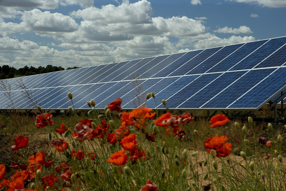 Cuatro nuevos parques fotovoltaicos para Panamá