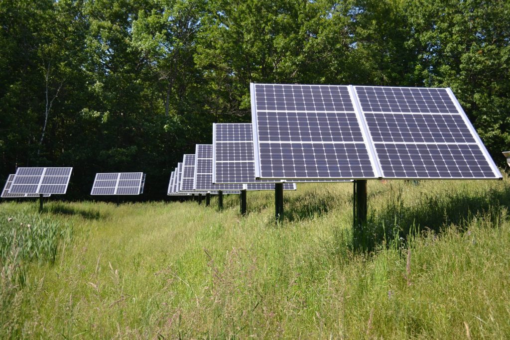 Los parques solares pueden tener un mejor impacto en la biodiversidad que la agricultura intensiva