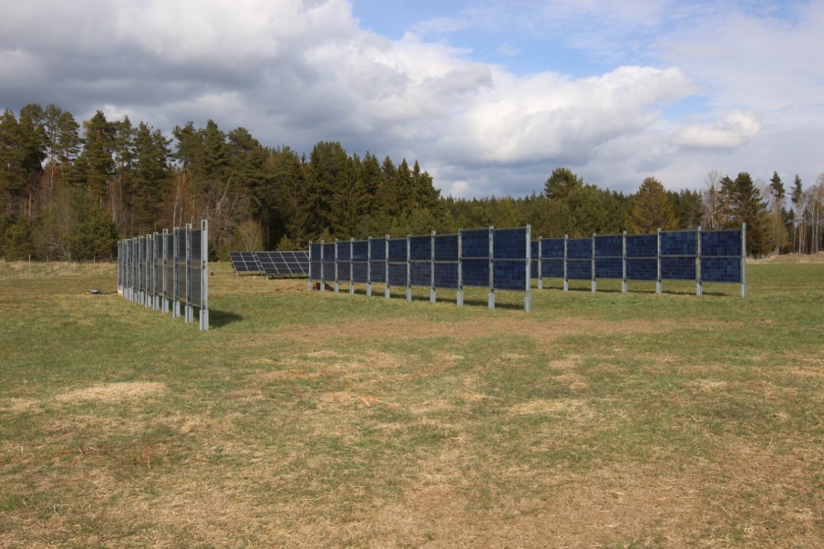 Energía fotovoltaica vertical para producir energía limpia y cultivos