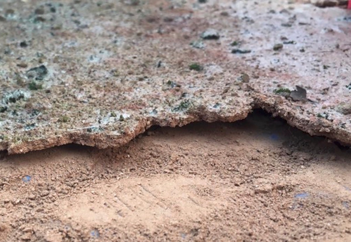 La energía solar puede promover la formación de biocorteza en los desiertos