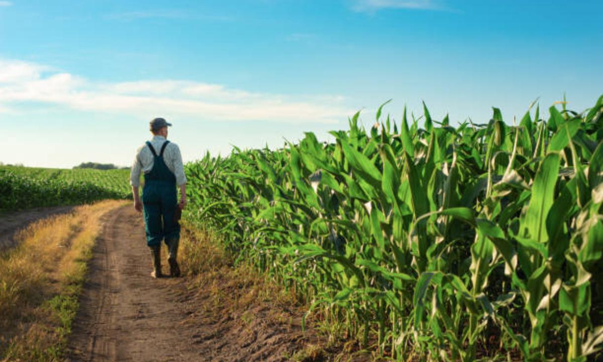 Finca autosostenible: tenga en cuenta estos principios y características