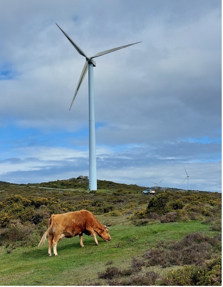 Energías renovables para proteger la naturaleza