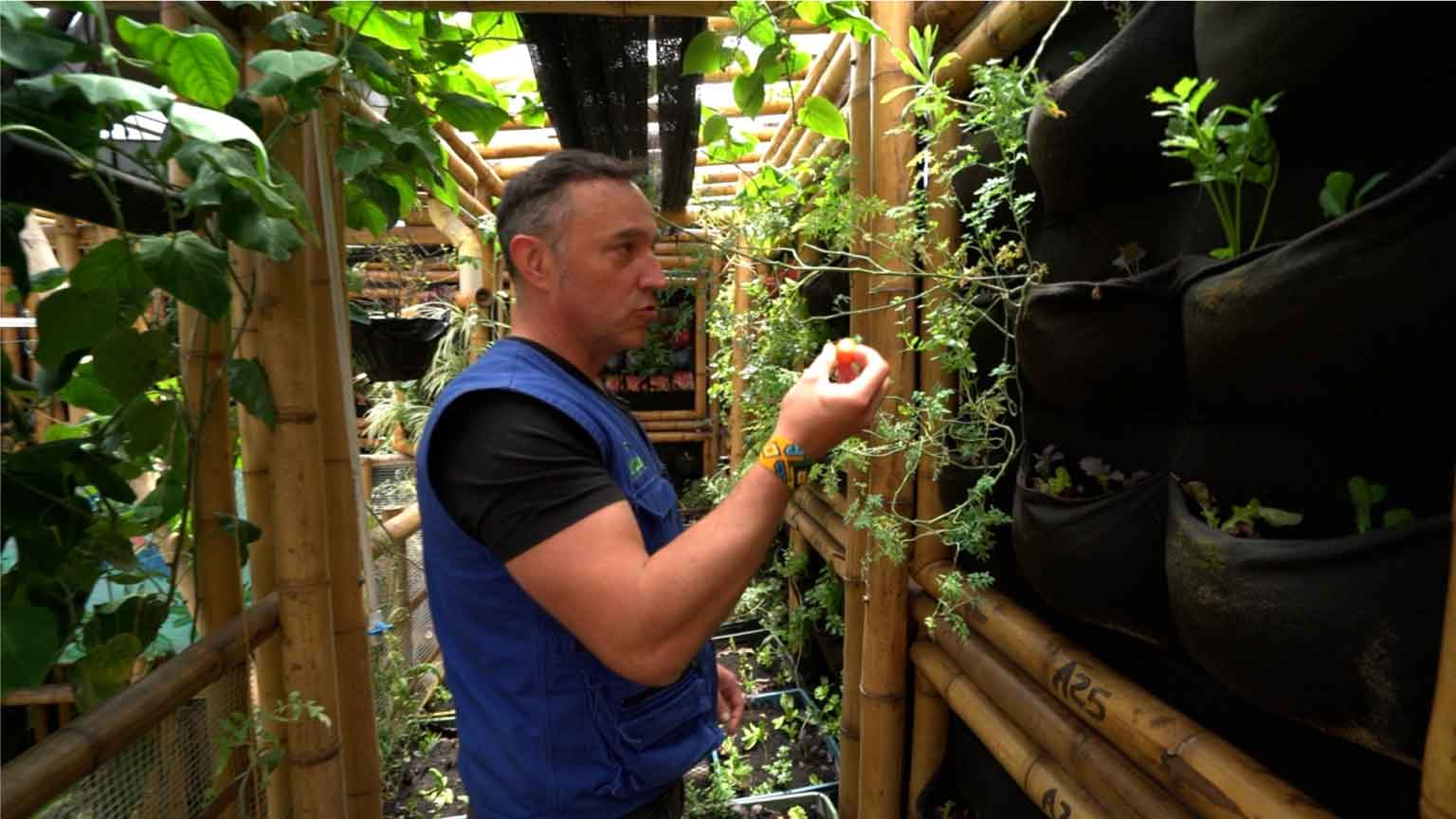 La historia del oasis ambiental creado por un filósofo en medio del cemento de Bogotá