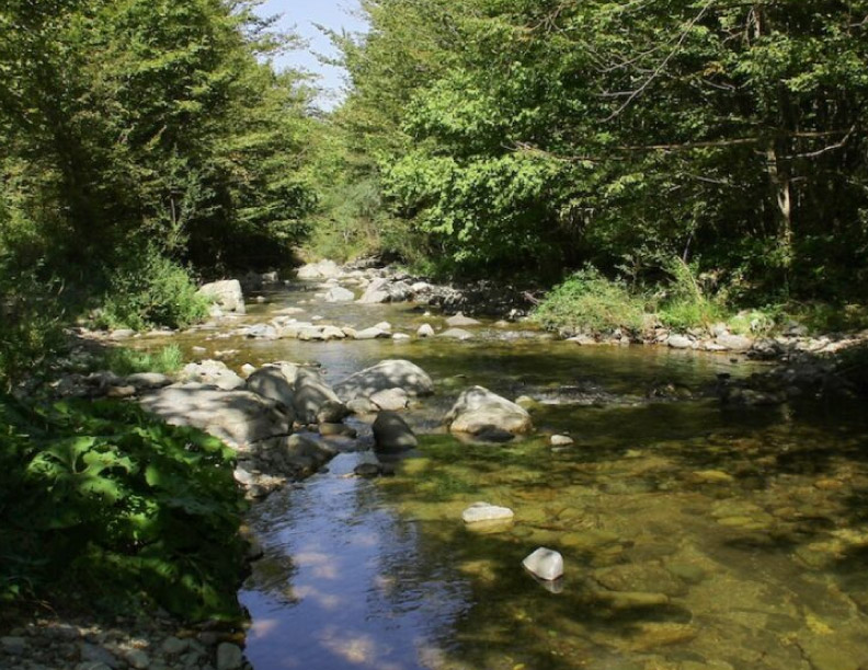 Acciones Globales para Mitigar el Cambio Climático: Avances Post Acuerdo de París