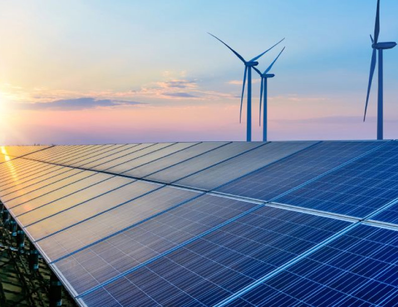 ¿Y las subastas de energía renovable?