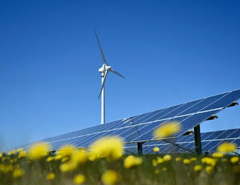 Latino América puede convertirse en líder mundial de la energía renovable, ¿qué le falta para despuntar?