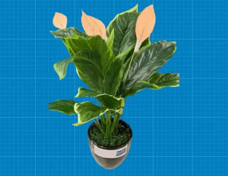 Diseñan centrales eléctricas con forma de plantas: pueden decorar tu casa y también darte energía