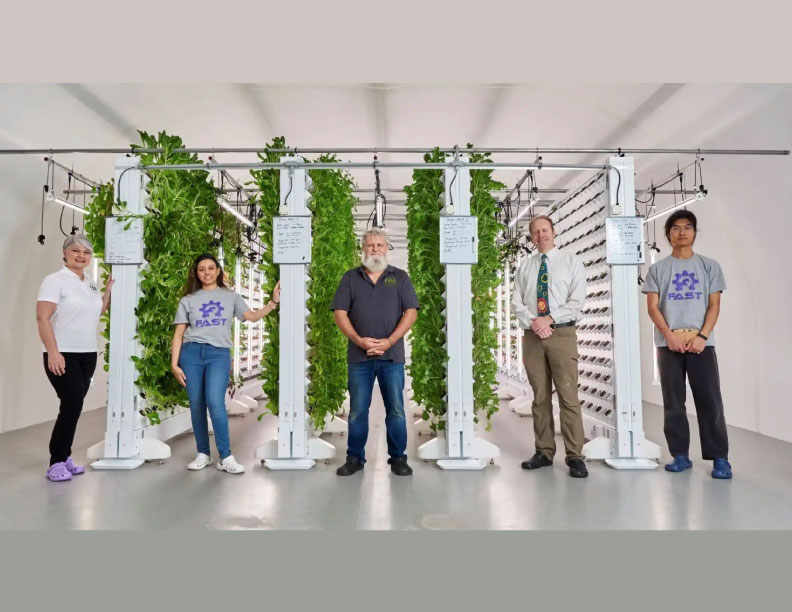 El revolucionario invento para cultivar fresas todo el año: placas solares transparentes y un gran ahorro de agua