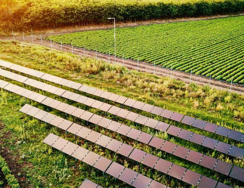 Granjas solares, la diversificación eléctrica del Tolima