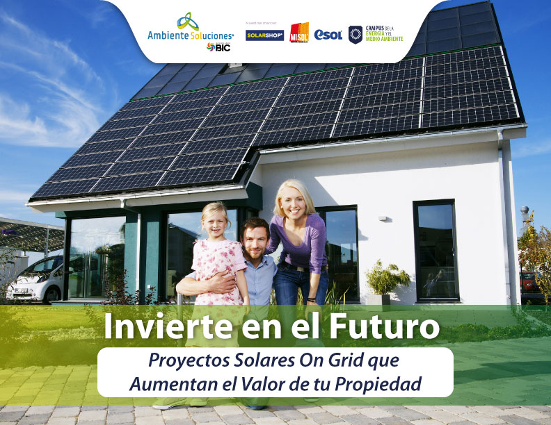 Invierte en el Futuro: Proyectos Solares On Grid que Aumentan el Valor de tu Propiedad